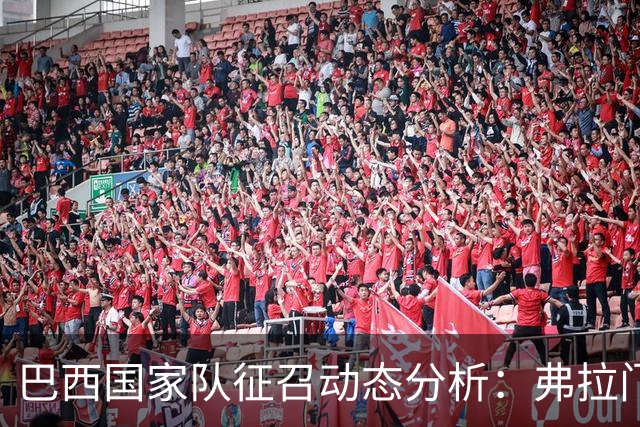 巴西国家队征召动态分析：弗拉门戈球员入选前景不明